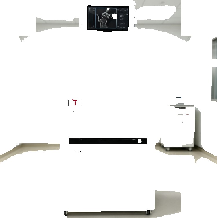 Veterinary DR Equipment Digital X-ray System Digital Radiography X Ray