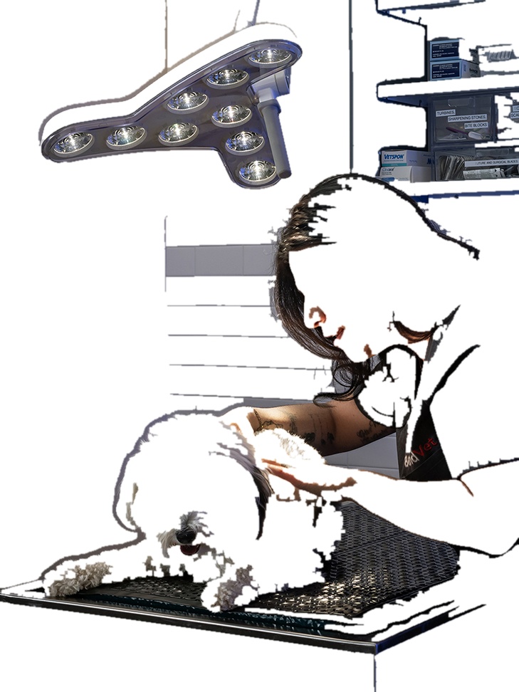 Veterinary Clinic Examination Surgical Examination Light Surgical Light