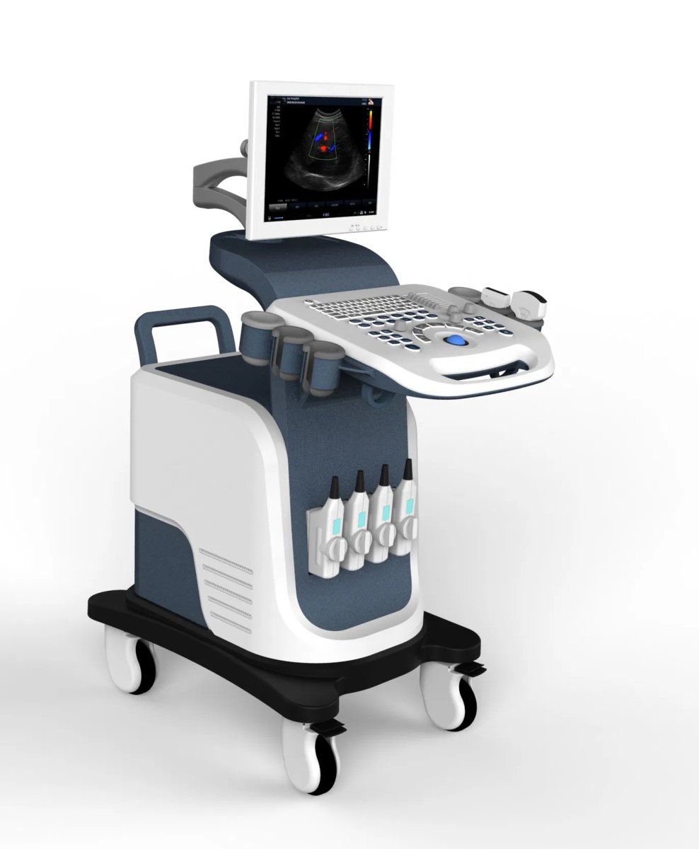 3D/4D Color Doppler Electric Ultrasound Machine for OB/GYN