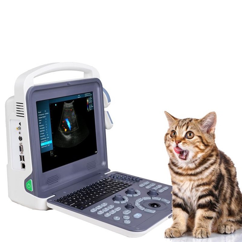 Notebook Color Doppler Veterinary Pet Handheld Ultrasound Scanner for Hospital Clinic