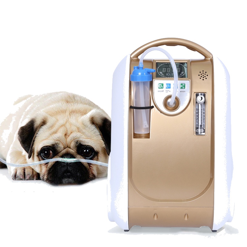 1l Medical Oxygen Machine Veterinary Oxygen Concentrator Hyperbaric Price Oxygen Contractor