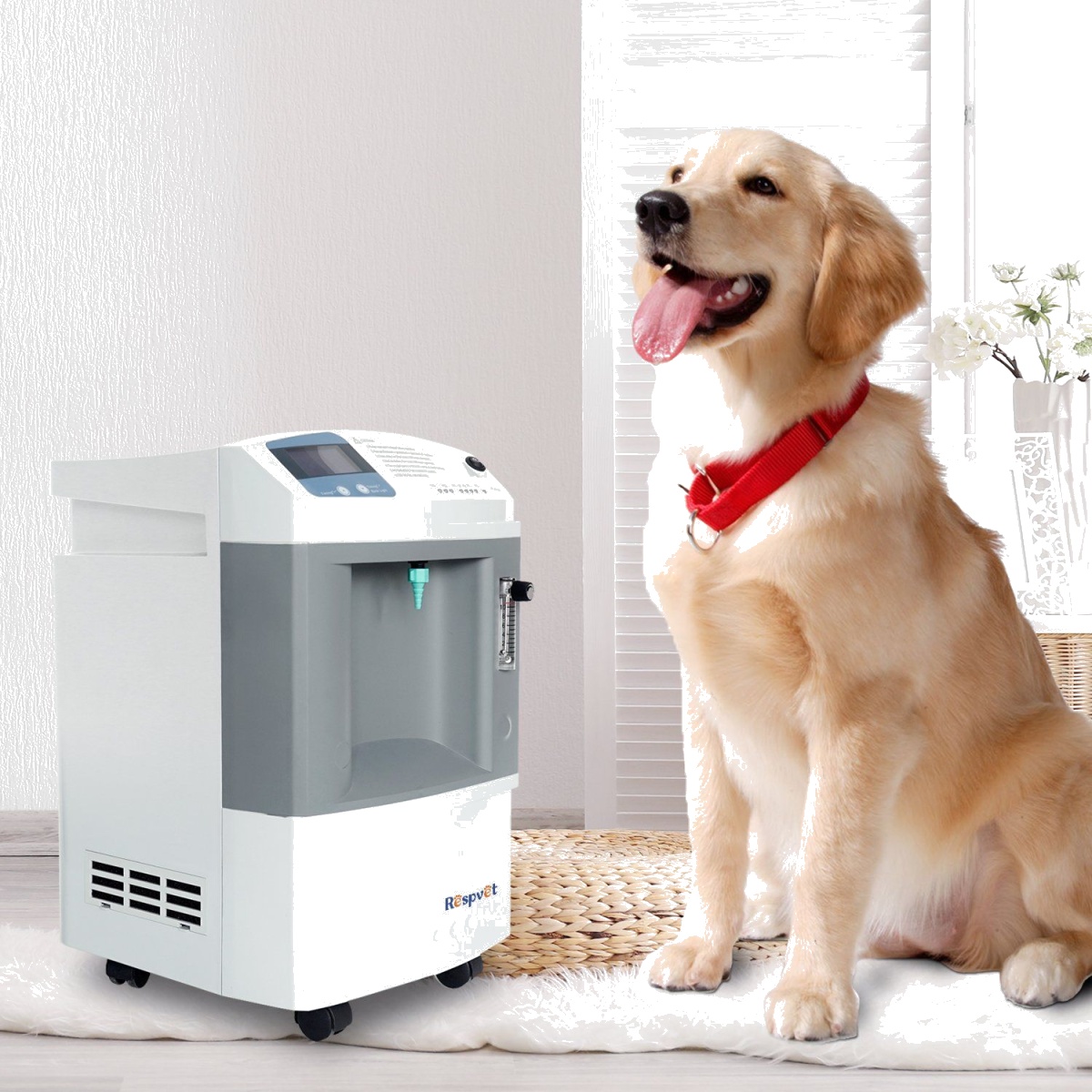 Generator Container Machine Veterinary Oxygen Concentrator Hyperbaric Oxygen Chamber Price Oxygen...