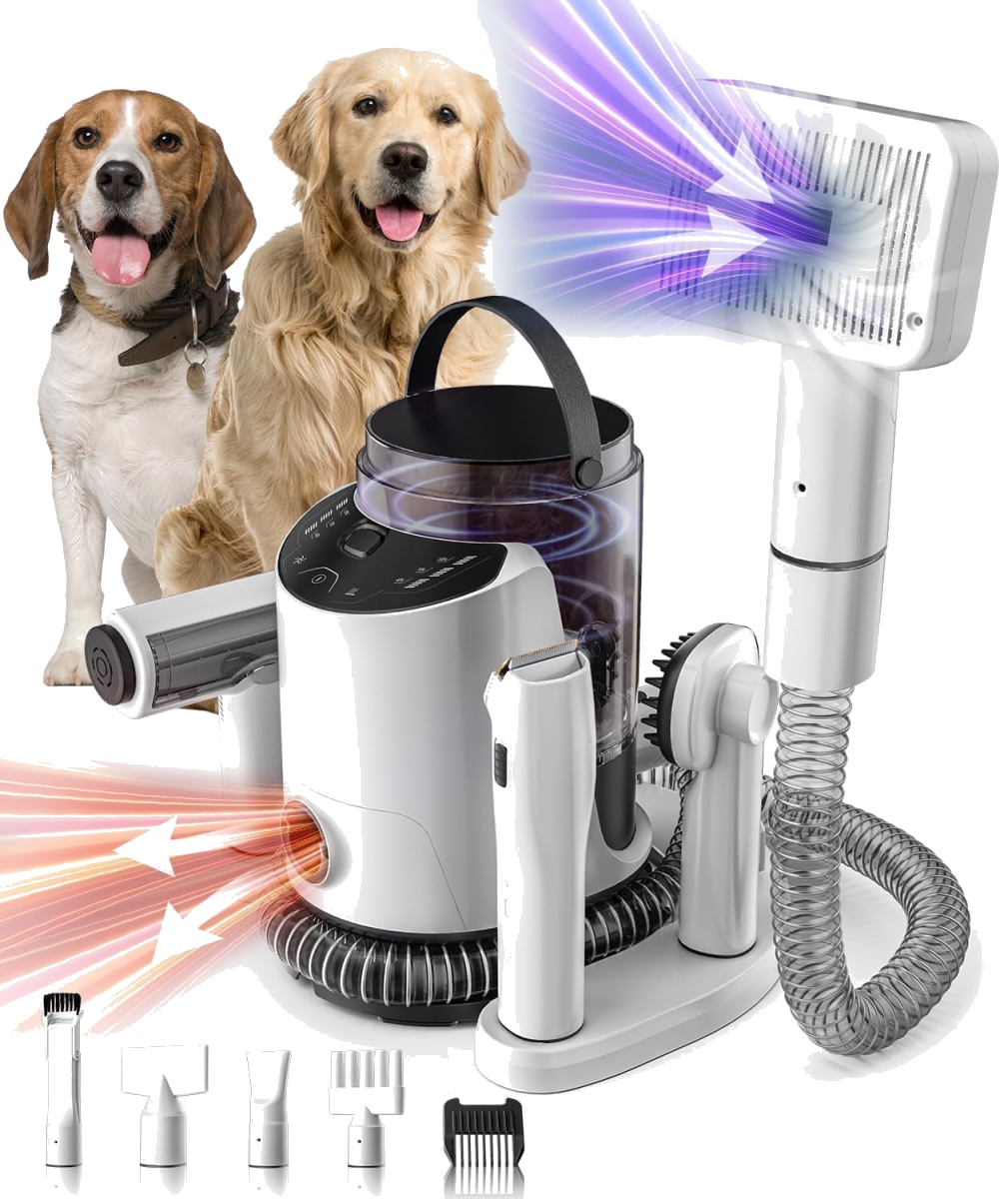 Pet Grooming Shop Use Dryer Equipment Automatic Pet Hair Dryer Box With