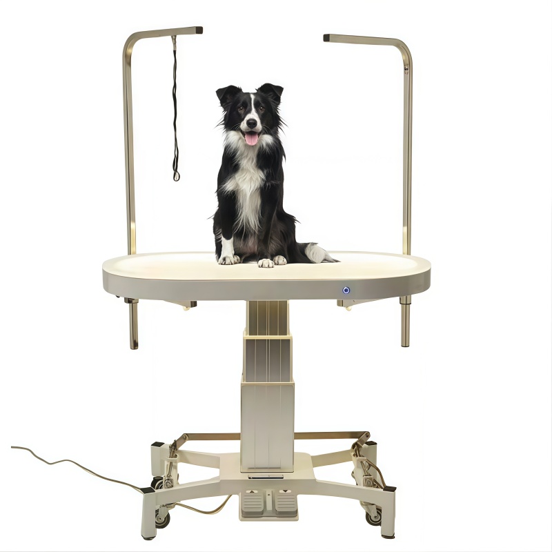 Electric Lift Round Pet Grooming Table LED Illuminated Tabletop With Restraint Rope Pet Shop Groo...