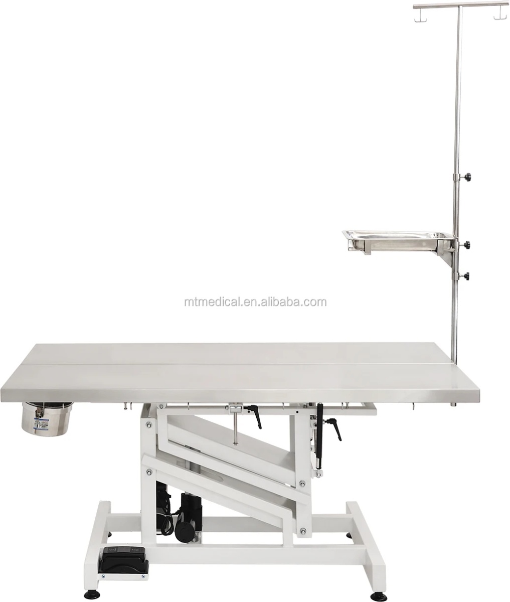 Antique Veterinary Operation Autopsy Cat Examination Table