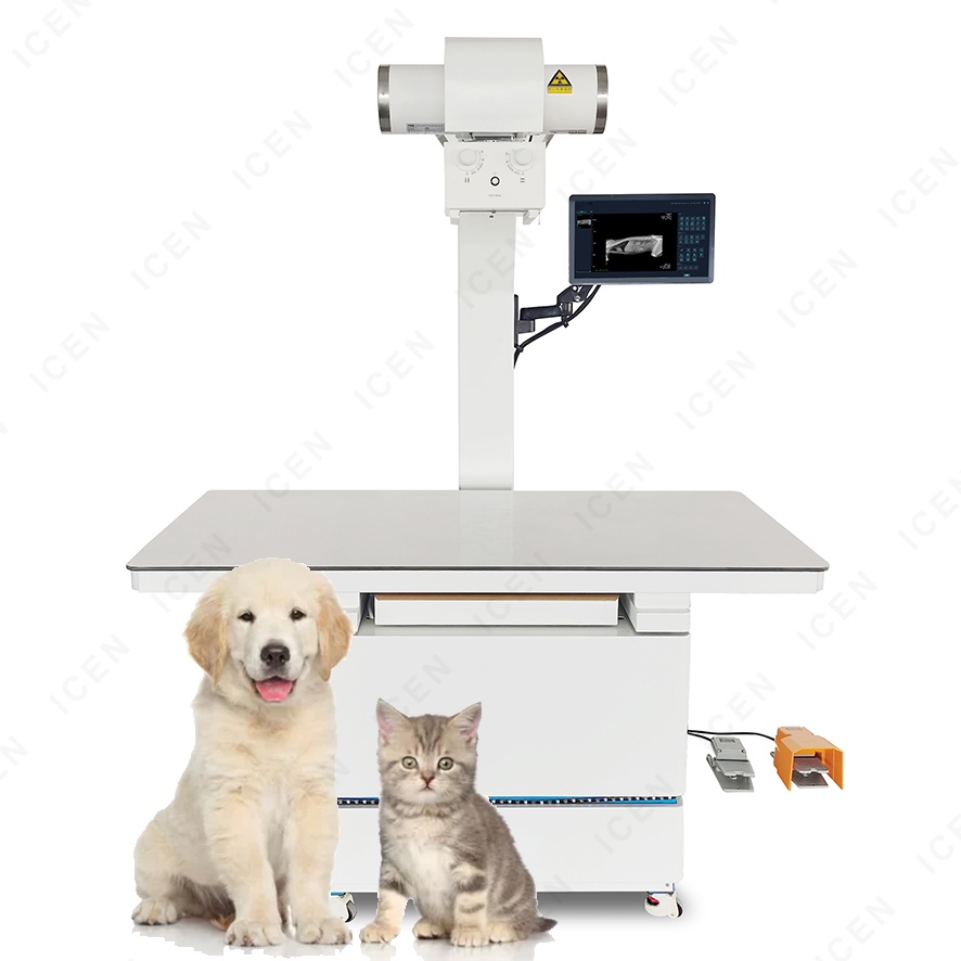 Cassette-sized Veterinary RX X-ray Digital Radiography Wireless Xray DR System Vet X Ray Flat Pan...