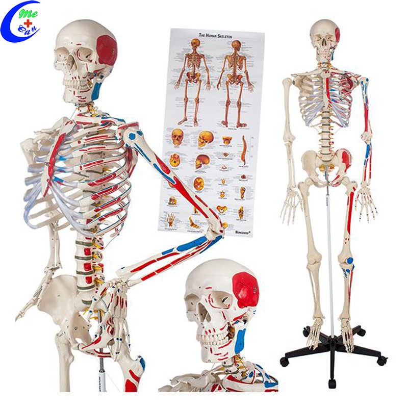 Medical product