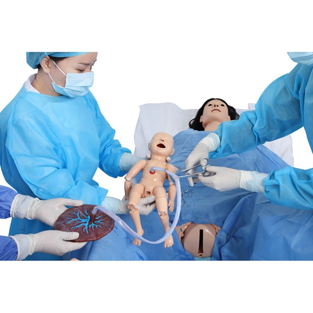 Delivery and Maternal and Neonatal Emergency Birthing Simulator Birth Obstetric Training Manikin ...