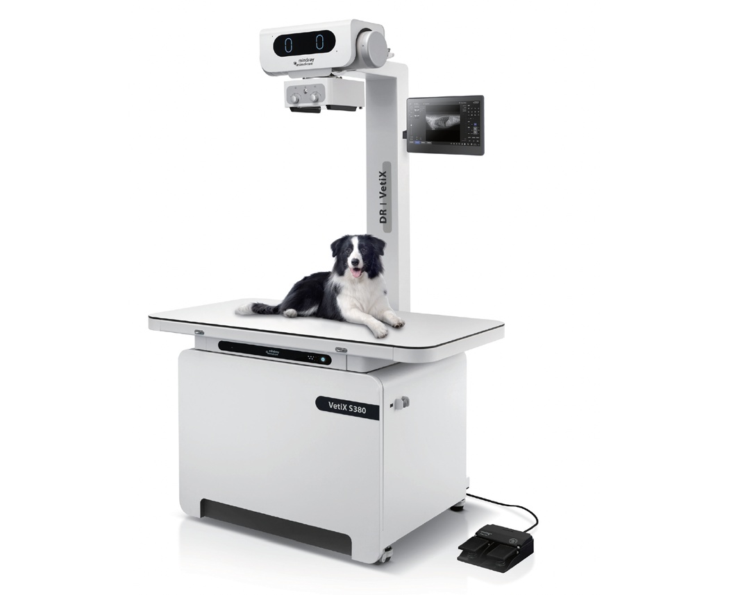 Animal X ray Machine Pet Veterinary